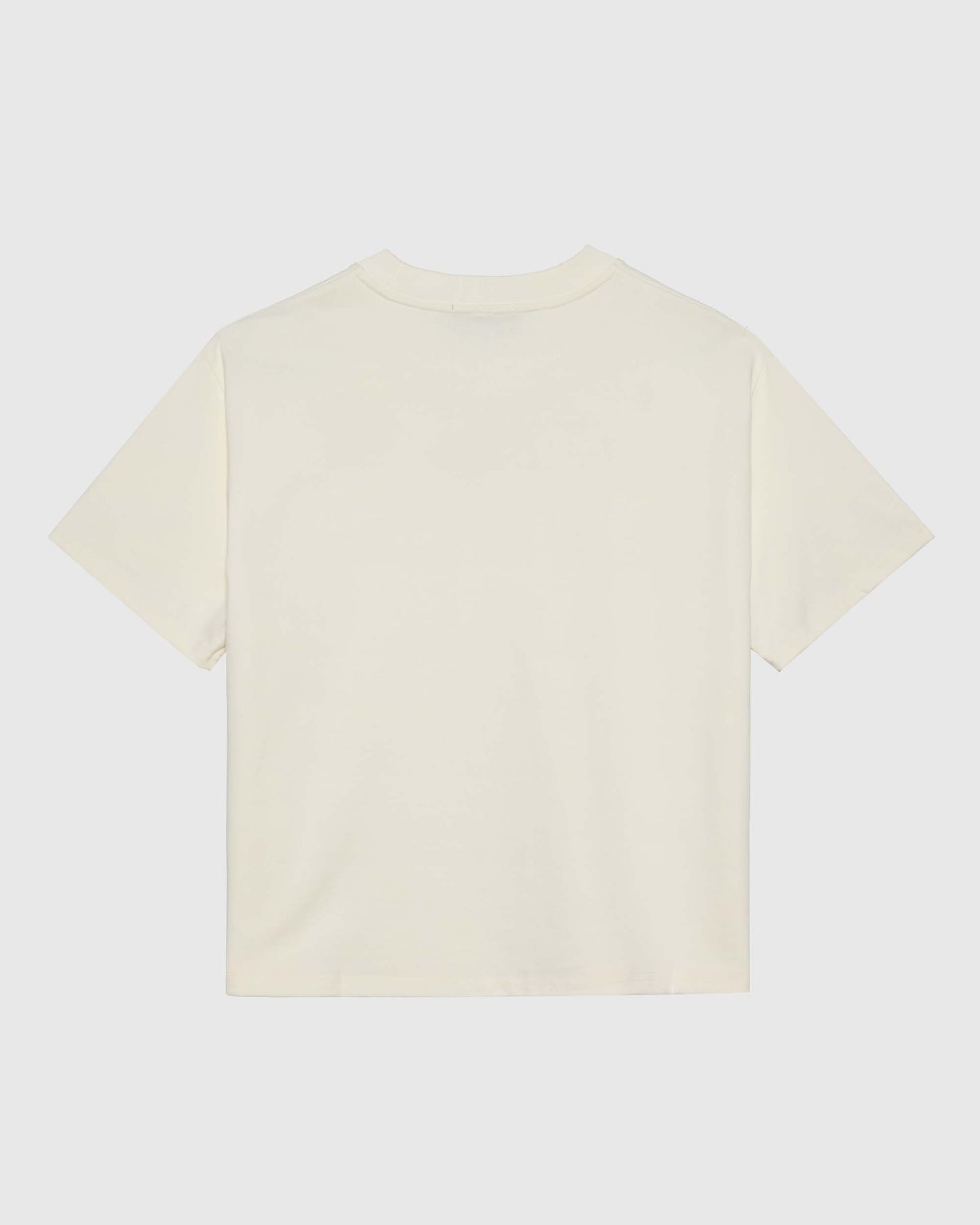LIGHTWEIGHT CROPPED TEE IN SALT WHITE